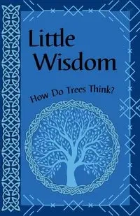 Little Wisdom - Devin Kornelsen-Loytomaki