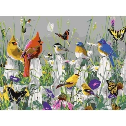 Malowanie po numerach - 30x40cm Ptaszki - Titanum