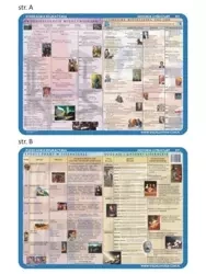 Podkładka edu. 051 - Literatura: współczesność.. - Visual System