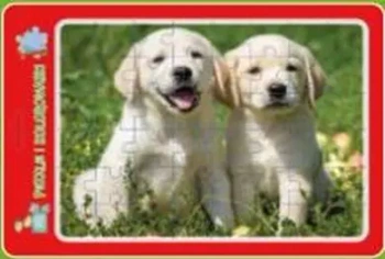 Puzzle w ramce z kolorowanką. Szczeniaczki - MD Creative