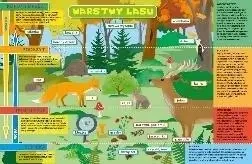 Podkładka na biurko - Warstwy lasu i łąka - Henry