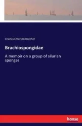 Brachiospongidae - Charles Emerson Beecher