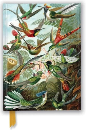 Notatnik A5 linia TW Kolibry Ernst Haeckel - Flame Tree