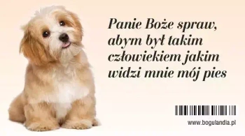 Magnes na lodówkę. Panie Boże spraw...