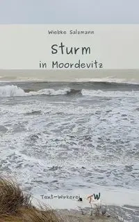 Sturm in Moordevitz - Salzmann Wiebke