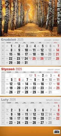 Kalendarz 2026 trójdzielny 3D MIX - AVANTI