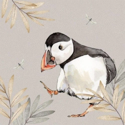 Karnet Swarovski kwadrat CL4702 Maskonur - Clear Creations