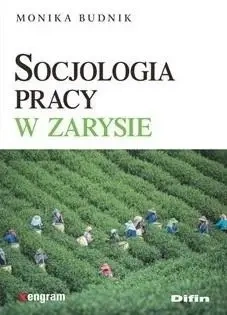 Socjologia pracy w zarysie - Monika Budnik