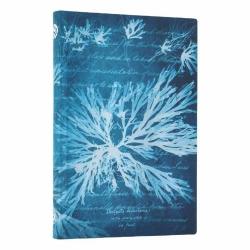 Notatnik linia Sea Flowers mini - Paperblanks
