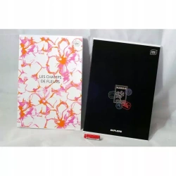 Zeszyt w linię A4 Interdruk 96 kartek