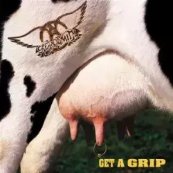 Get A Grip. CD