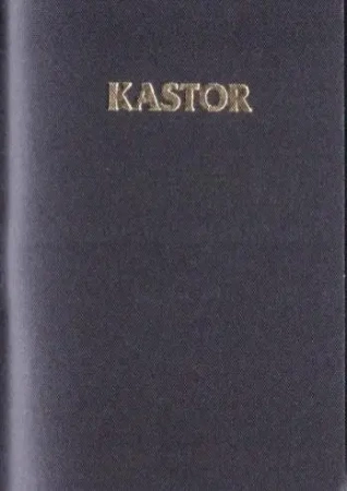 Kalendarz 2026 plastik MIX - KASTOR
