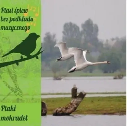 Ptasi śpiew bez podkładu muz. Ptaki mokradeł CD - praca zbiorowa