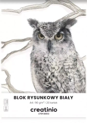 Blok rysunkowy A4/20k biały 90g Top Fol A 20
