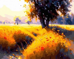 Malowanie po numerach + złota farba - Letnia cisza - Twoje Hobby