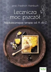 Lecznicza moc pszczół - Friedrich Hainbuch