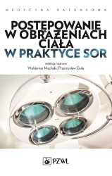 Postępowanie w obrażeniach ciała w praktyce SOR - Waldemar Machała, Przemysław Guła
