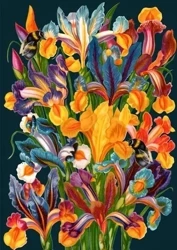 Karnet B6 z kopertą Irysy nocą - Madame Treacle