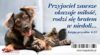 Magnes na lodówkę. Przyjaciel zawsze okazuje miłość...