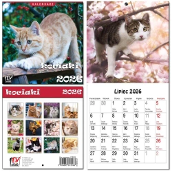 Kalendarz 2026 dla dzieci 16x32 13 plansz Kociaki - EV-Corp