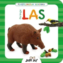 Plastelinkowa akademia. Co kryje las - Magdalena Młodnicka