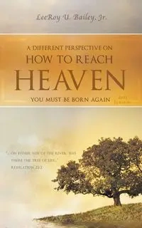A Different Perspective on How to Reach HEAVEN - Bailey LeeRoy U