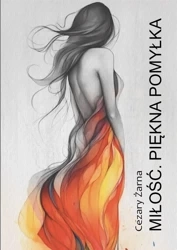 Miłość. Piękna pomyłka - Cezary Żarna