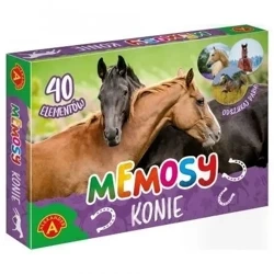 Memosy - konie ALEX - Alexander