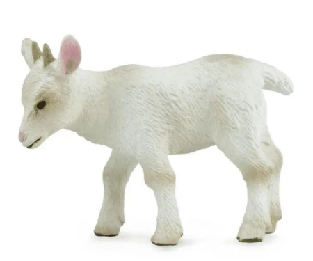 Koźlątko idące - Collecta