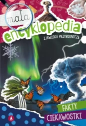 Mała encyklopedia. Zjawiska przyrodnicze - Monika Ślizowska