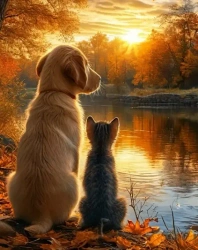 Diamentowa Mozaika Jesień kotek i piesek nad brzegiem NO-2003052 - Norimpex