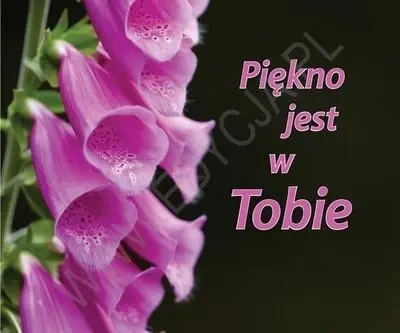 Perełka 155 - Piękno jest w Tobie - praca zbiorowa