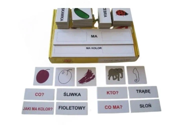 Zestaw dydaktyczny. Co ma? Jaki ma kolor? - praca zbiorowa