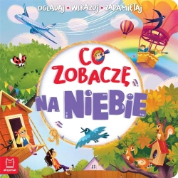 Co zobaczę na niebie. Oglądaj, wskazuj, zapamiętuj - Sylwia Kajdana