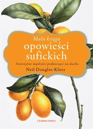 Mała księga opowieści sufickich - Neil Douglas-Klotz, Robert Sudół