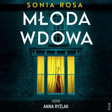 audiobook Młoda wdowa - Sonia Rosa
