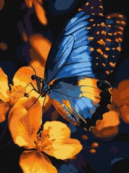 Malowanie po numerach - Migotanie skrzydeł 30x40cm - Ideyka