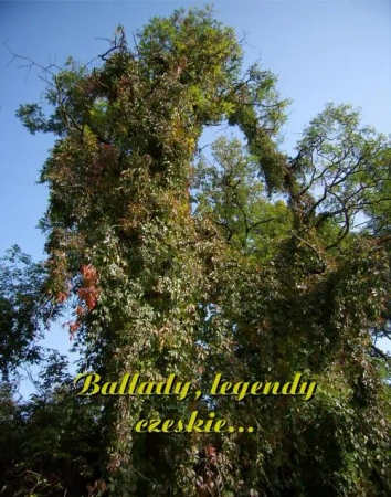 eBook Ballady, legendy czeskie... - Antologia mobi epub
