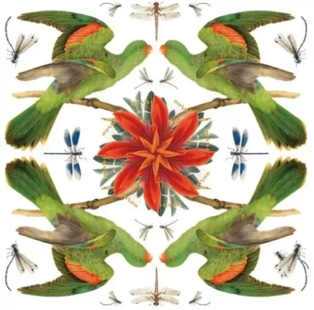 Karnet kwadrat z kopertą Red-winged Parrot - Museums & Galleries