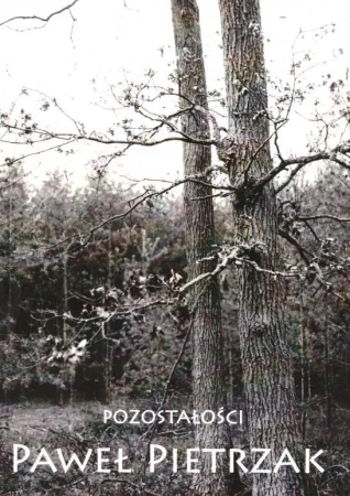 Pozostałości - Paweł Pietrzak