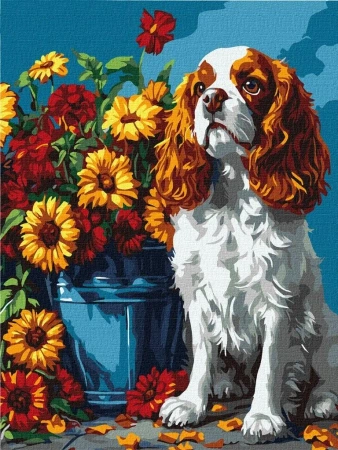 Malowanie po numerach - Spaniel i kwiaty 30x40cm - Ideyka