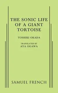 A Sonic Life of a Giant Tortoise - Okada Toshiki