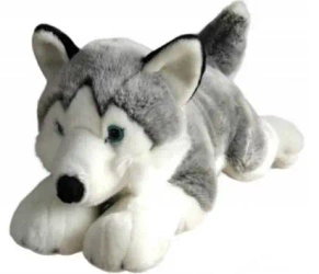 Husky 62cm - Dubi
