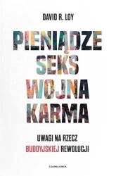 Pieniądze Seks Wojna Karma - David R. Loy, Robert Sudół