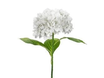 Hortensja Premium biała 69cm - PartyDeco