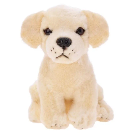 Labrador siedzący 20cm - Beppe