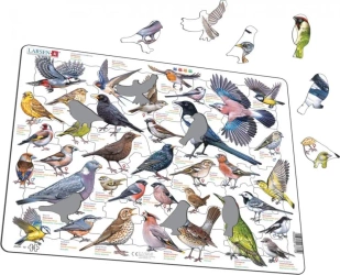 Układanka Garden Birds Ptaki ogrodowe polne Maxi - Larsen