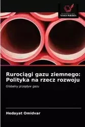 Rurociągi gazu ziemnego - Omidvar Hedayat