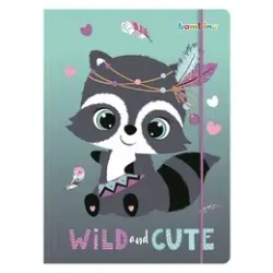 Paczka Teczka A4 z gumką Racoon 10 szt. - ST-Majewski