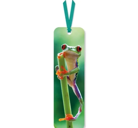 Zakładka do książki Red Eyed Frog - Museums & Galleries